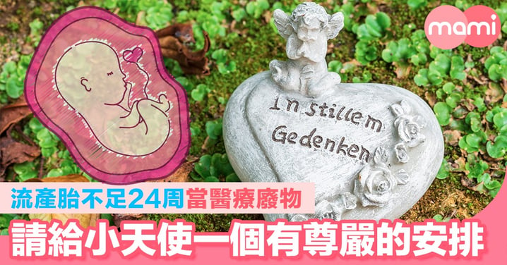 流產胎不足24周當醫療廢物  給「小天使」一個有尊嚴的安排   議員促改例准安葬  公營墳場設紀念花園