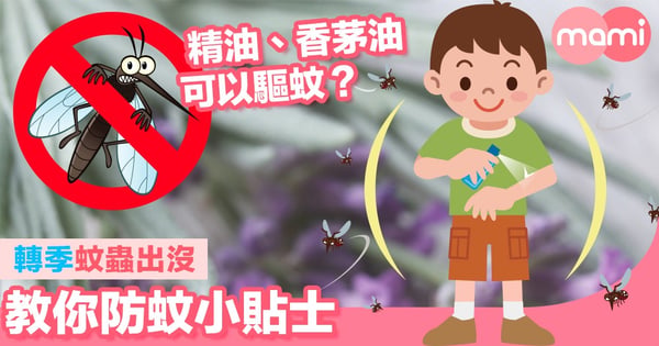 轉季蚊蟲出沒 蚊蚊咪埋身！教你防蚊小貼士 精油、香茅油可以驅蚊？
