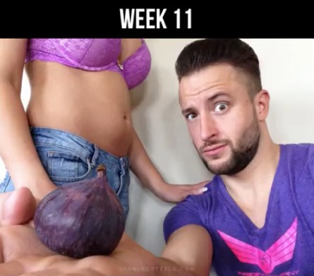 Screen Shot 2018-04-13 at 1.32.18 PM