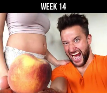 Screen Shot 2018-04-13 at 1.32.45 PM