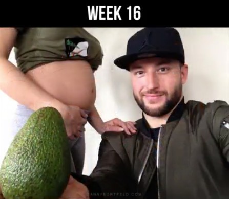 Screen Shot 2018-04-13 at 1.33.04 PM