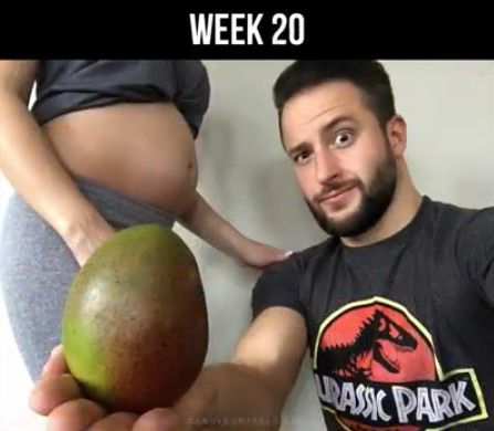 Screen Shot 2018-04-13 at 1.33.41 PM