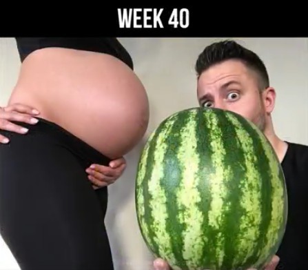 Screen Shot 2018-04-13 at 1.34.42 PM