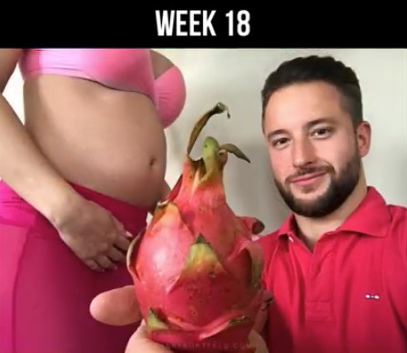 Screen Shot 2018-04-13 at 1.42.56 PM