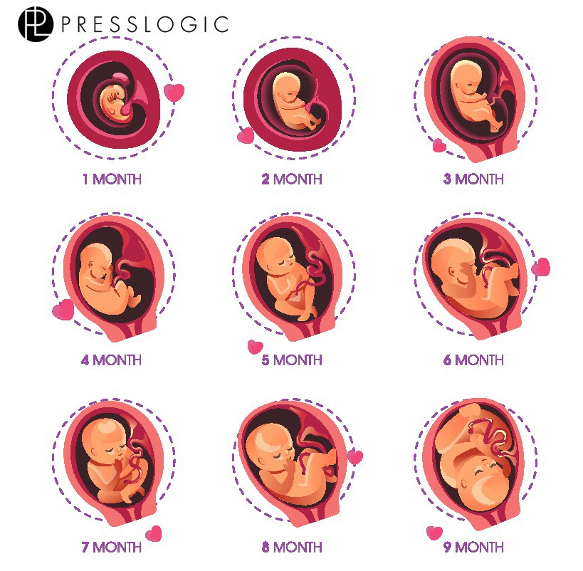 Screen Shot 2018-04-27 at 7.42.08 PM