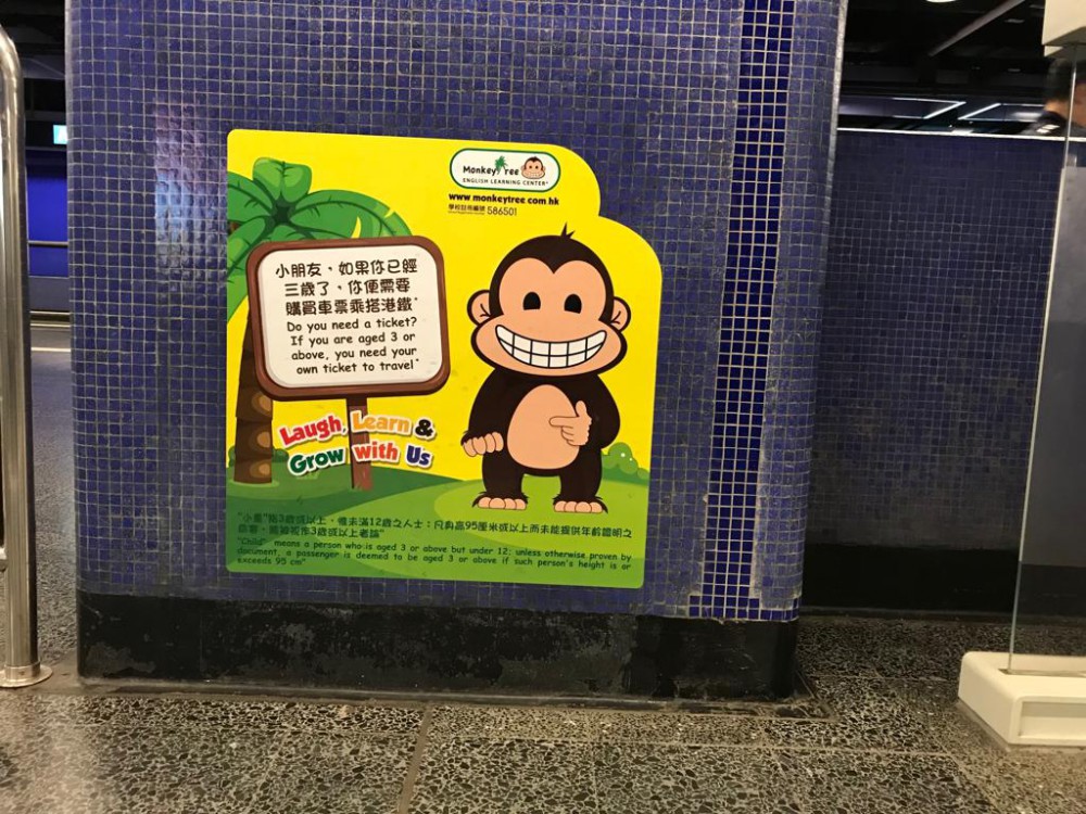 WhatsApp Image 2018-04-18 at 10.58.05 AM-2