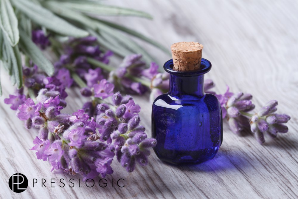 shutterstock_208207936拷貝