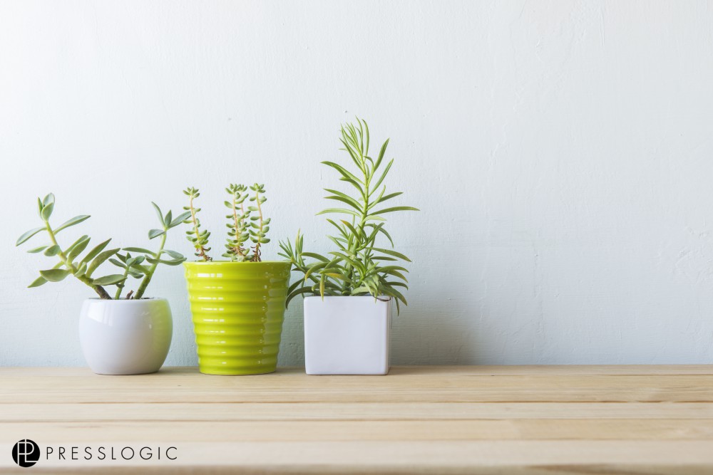 shutterstock_437789413拷貝