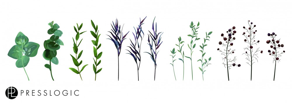 shutterstock_725617306