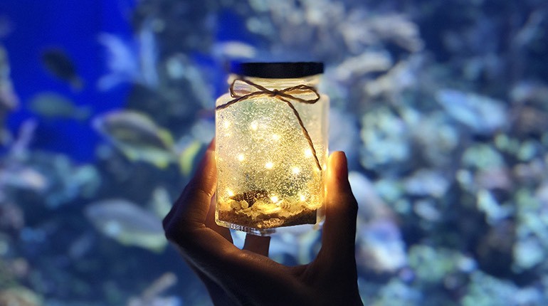 光影手作工作坊-海洋水光燈 Illumination décor workshop – ocean light