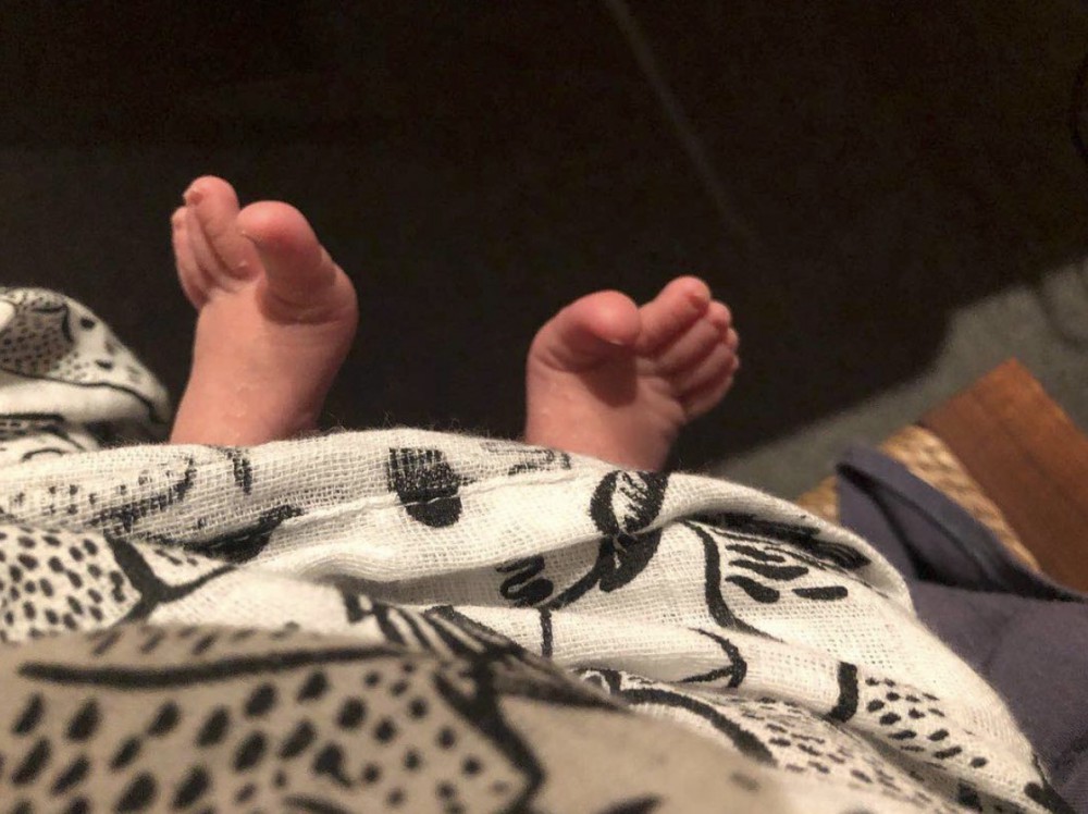 螢幕快照 2018-05-19 下午1.46.31