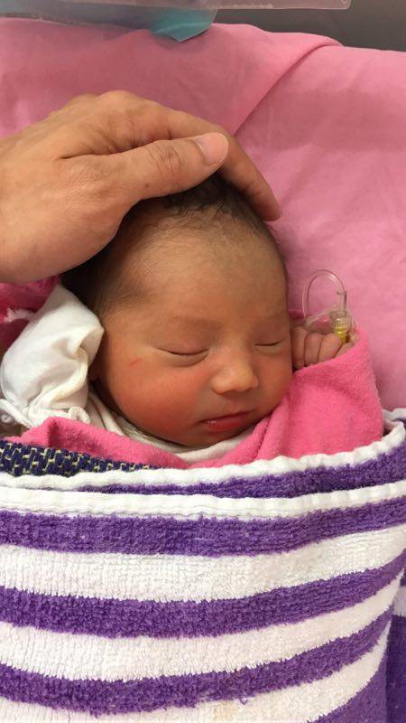 25152048_391538147952436_7370409307584055130_n