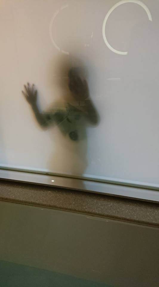 32072687_2114469961910459_824121236744306688_n