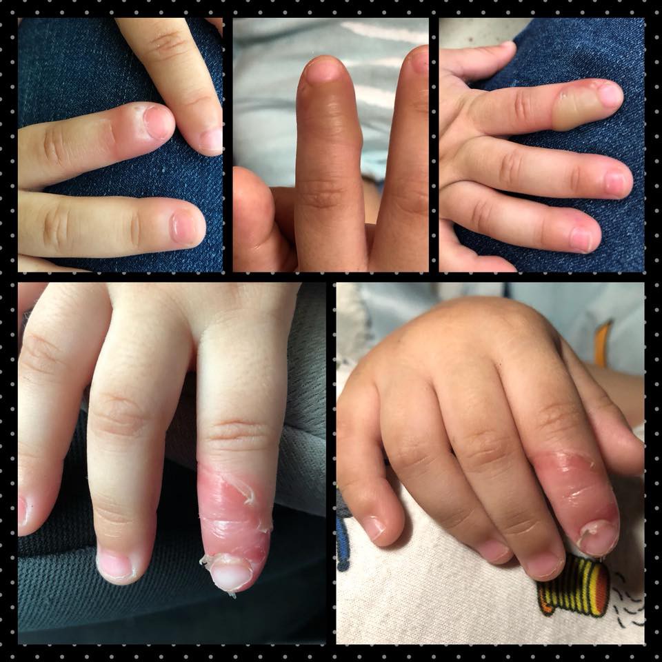 32488043_10156319437327438_3881898781947461632_n