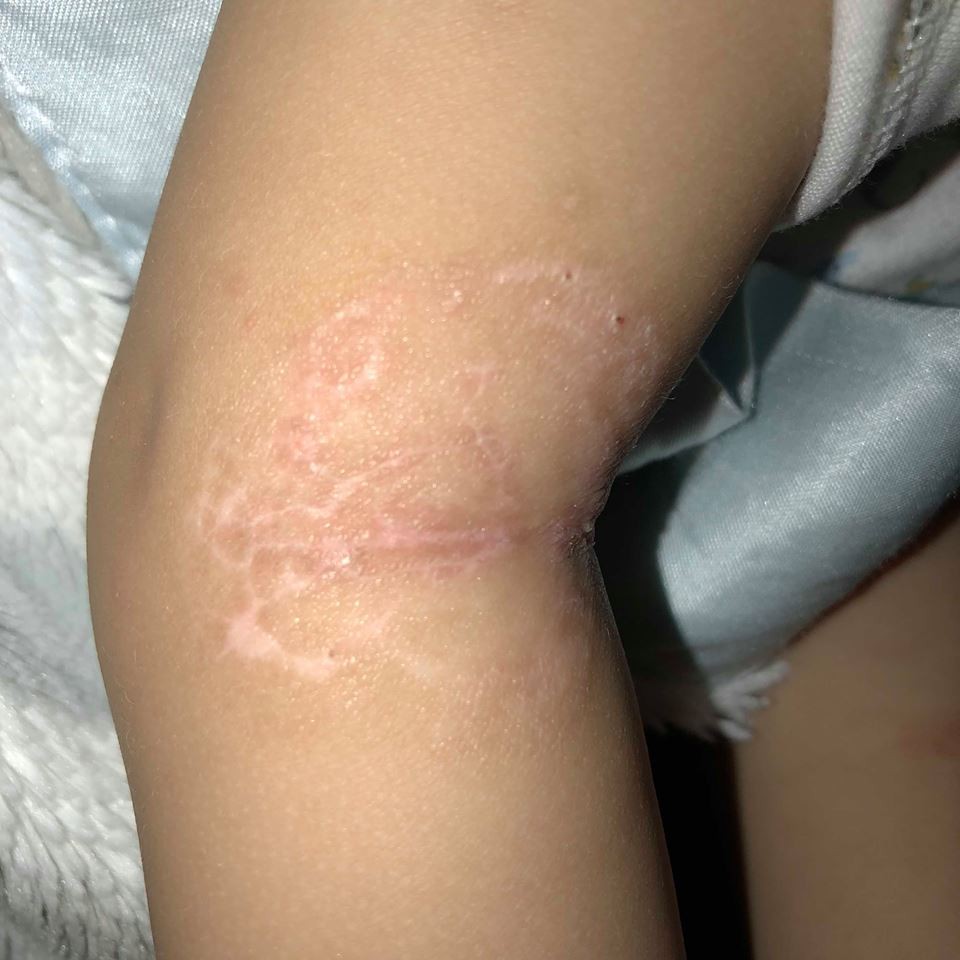 33156233_10156339766967438_3350388298370514944_n