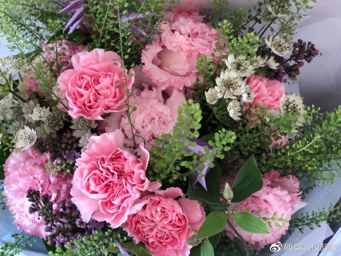 62eead82gy1fr9hyd5u28j20zk0qo4aa