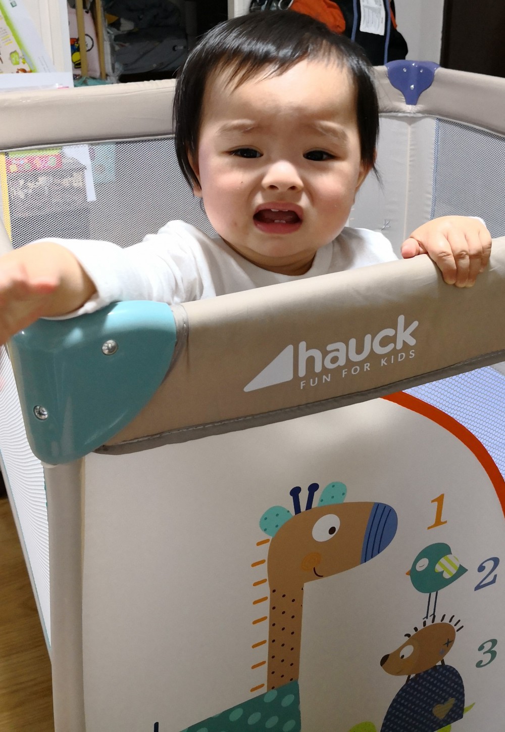 IMG_20180327_1939131