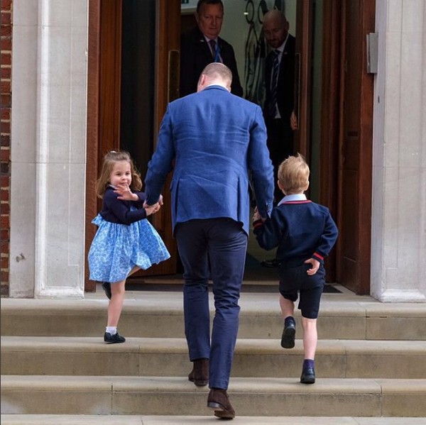 Screen Shot 2018-05-03 at 1.33.55 PM