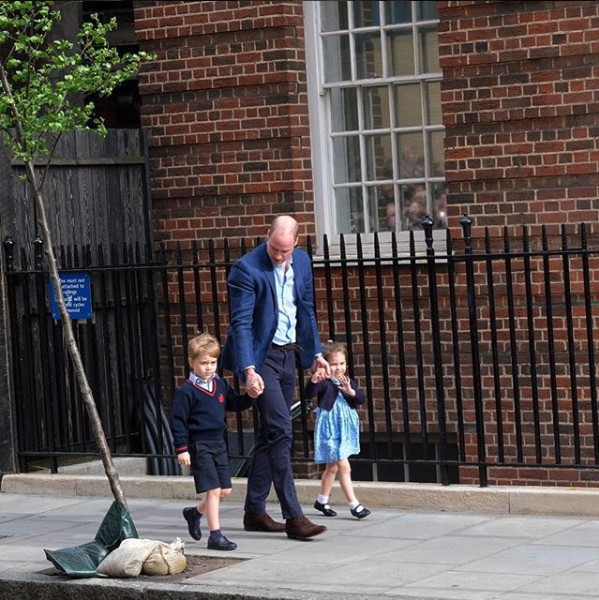 Screen Shot 2018-05-03 at 1.34.03 PM