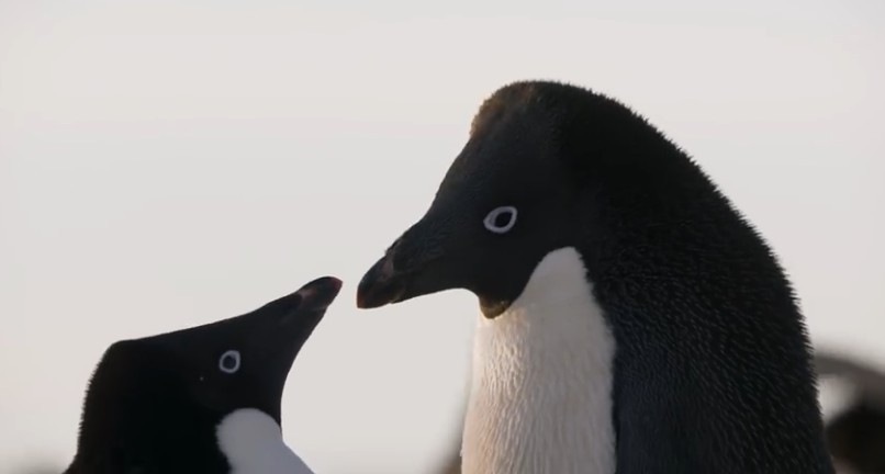 Screen Shot 2018-05-11 at 7.39.40 PM