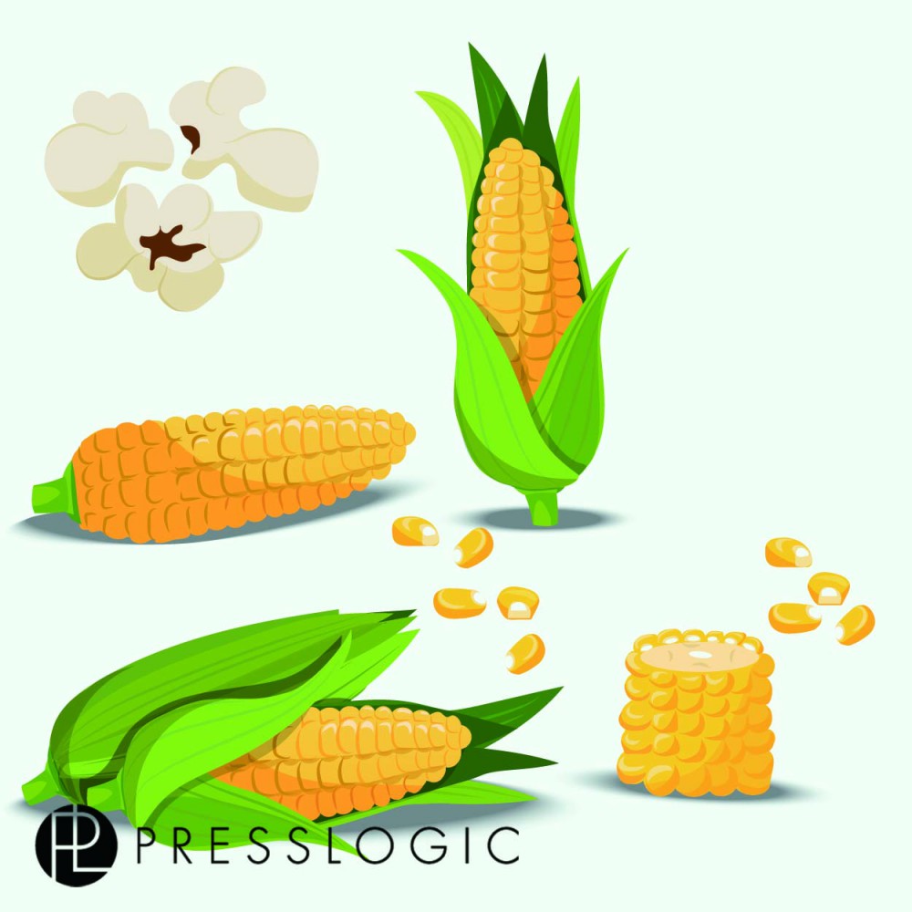 shutterstock_624096242