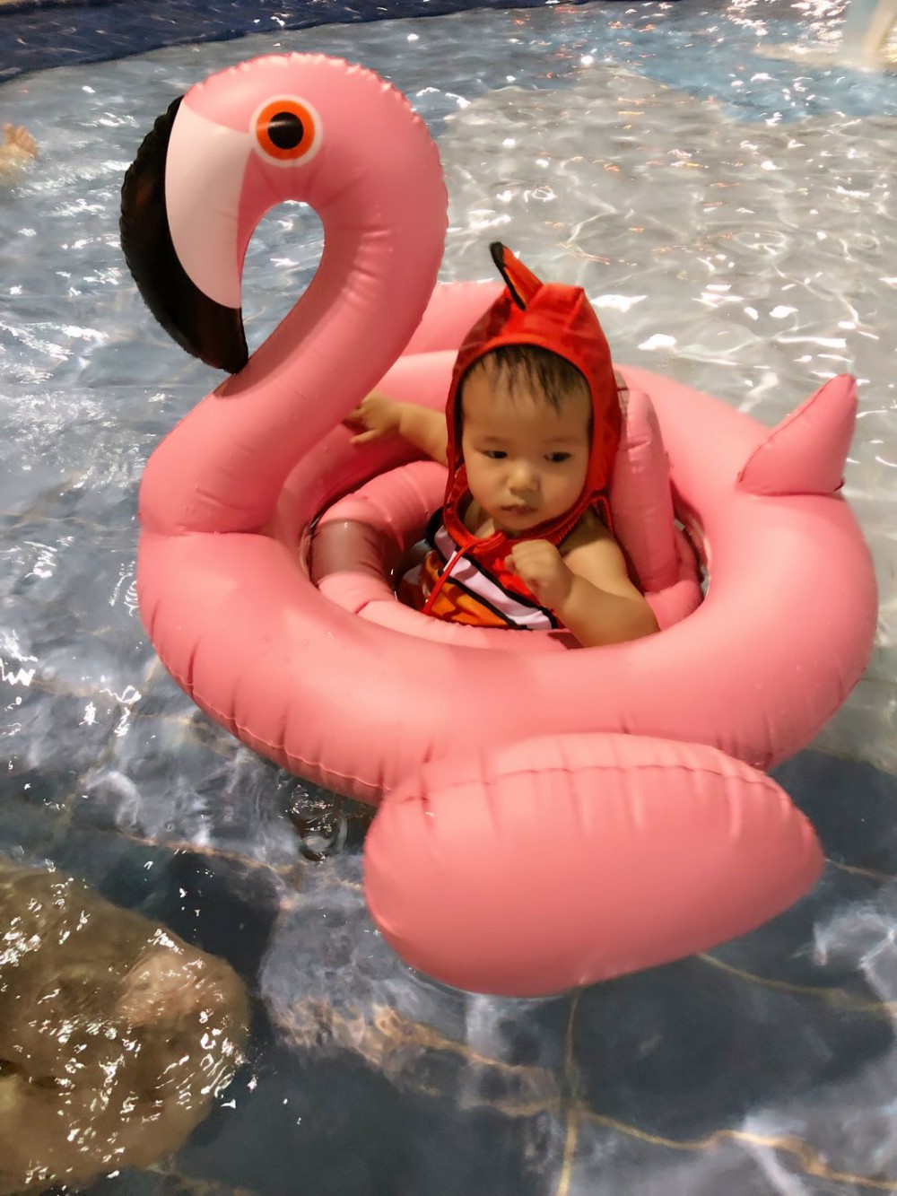 152821229474901FB77767-8BCF-465C-B527-4502E9348B39