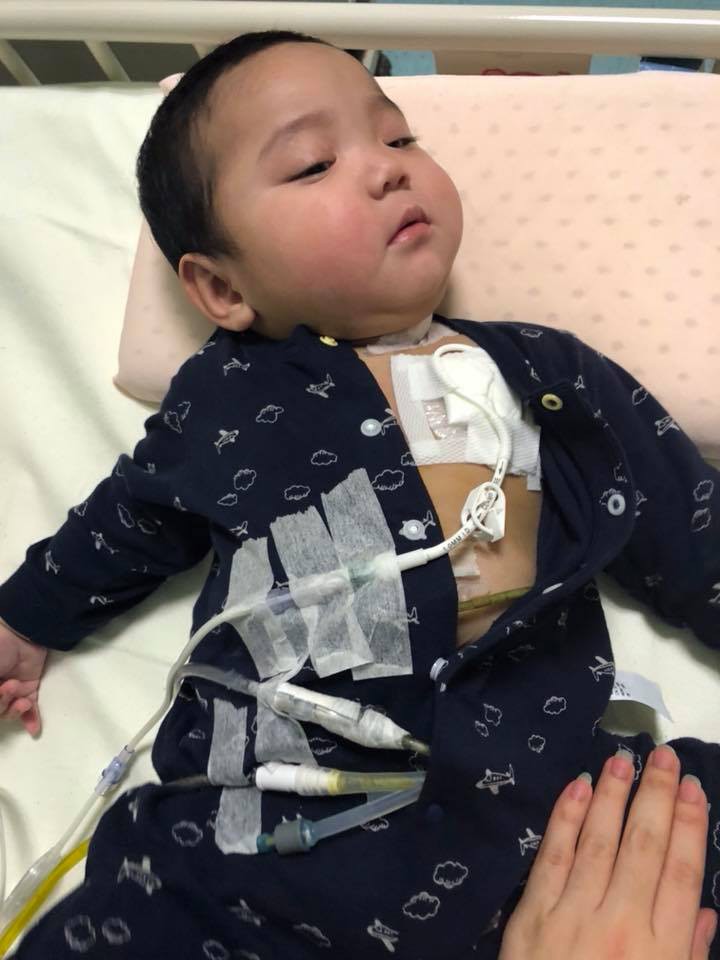 35923201_484969738609276_4845048896042303488_n