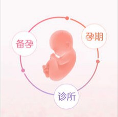 Screen Shot 2018-06-25 at 3.37.29 PM