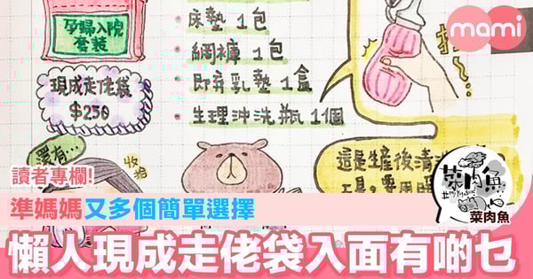 【準媽媽又多個簡單選擇  懶人現成走佬袋入面有啲乜】