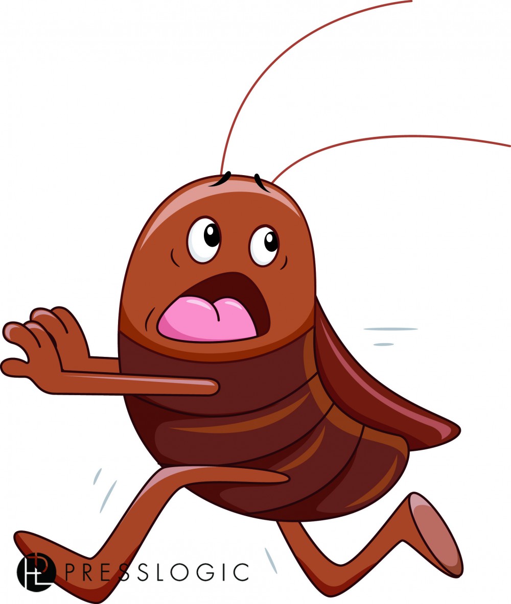 shutterstock_211876546
