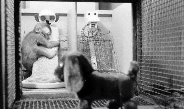 401o000375p42177s2op