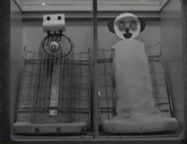 401q00006ps9r5p715rp