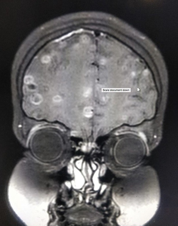 4E88B0C400000578-5985933-image-a-3_1532428729671_1024