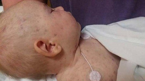 bdc029c25f6fdcf77d9d36994ceb4f41-2