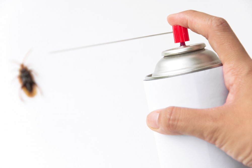 shutterstock_89642896