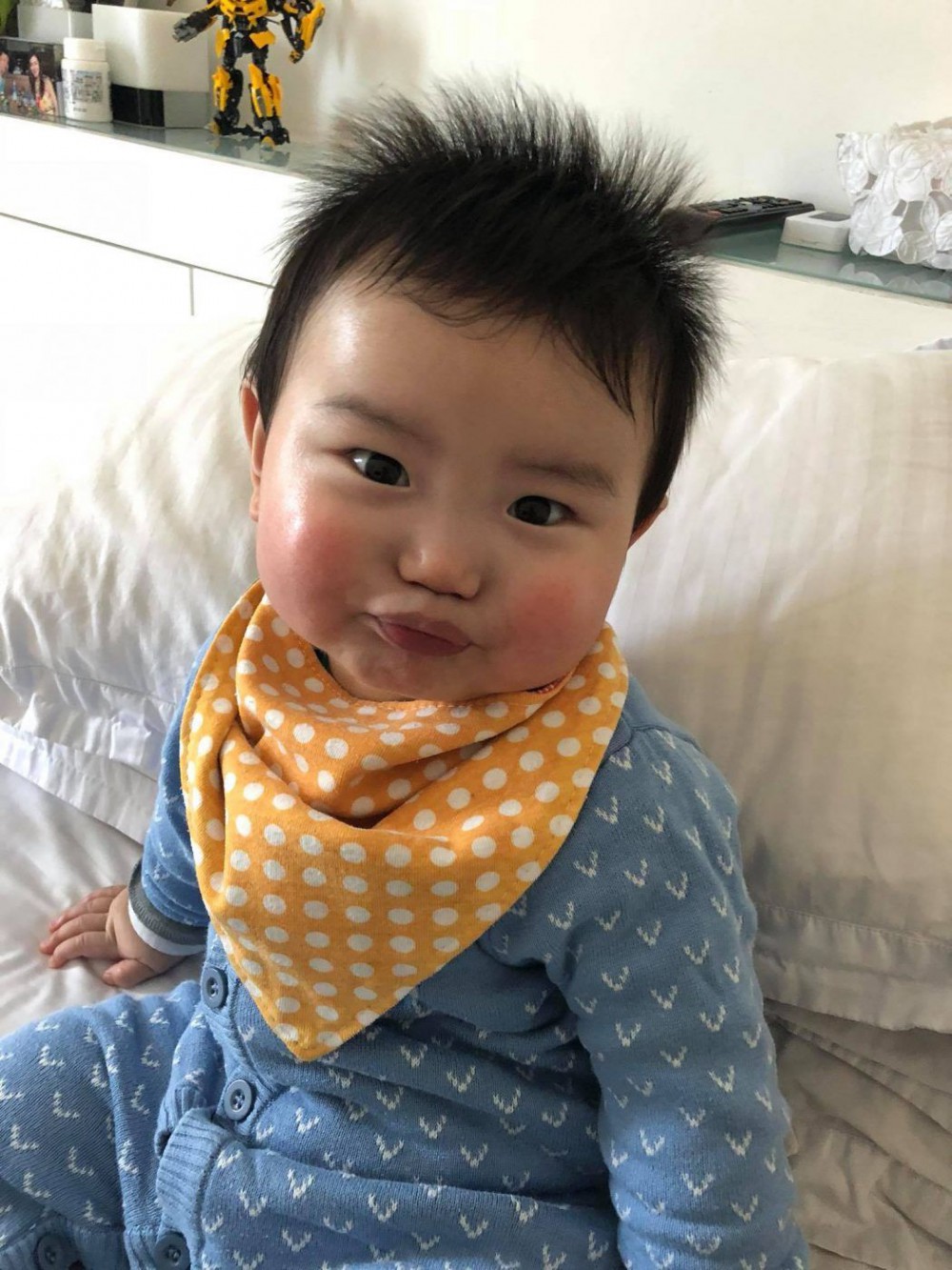 27628918_564291360572576_1736910329731967082_o_19231621145a9e3b46bdffe-1050x1400