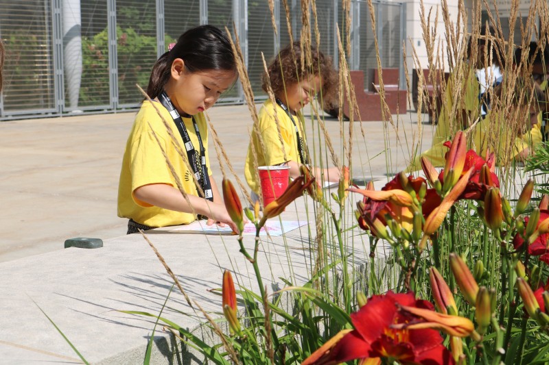 （照片由SAIC提供）小孩子天性喜近大自然，有戶外活動的興趣班更能引發學習興趣吧！