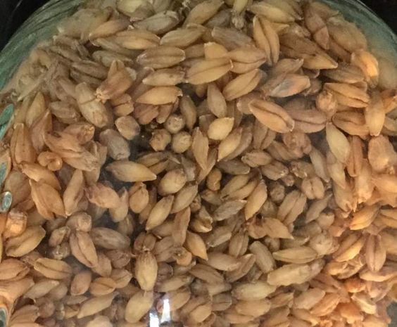 f04d4630da4d201232c2cbdf141f7068