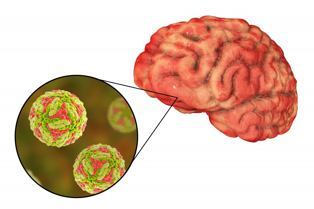 shutterstock_1095602882