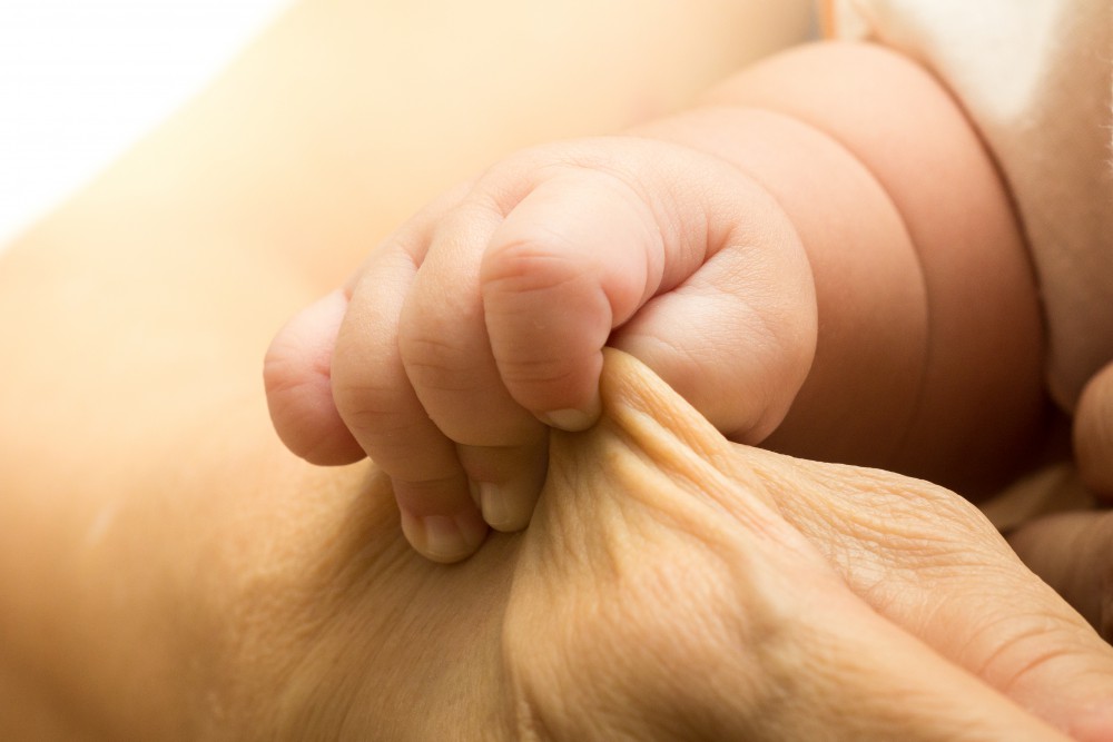 shutterstock_1139718194