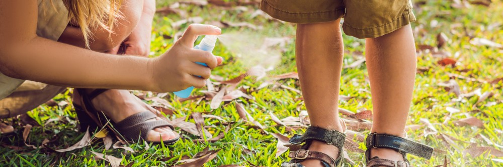 shutterstock_1145355722