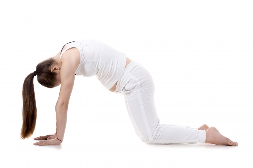 shutterstock_353185637