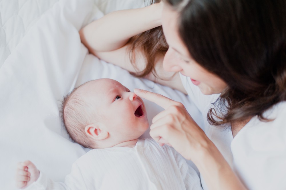 shutterstock_646559866 (1)