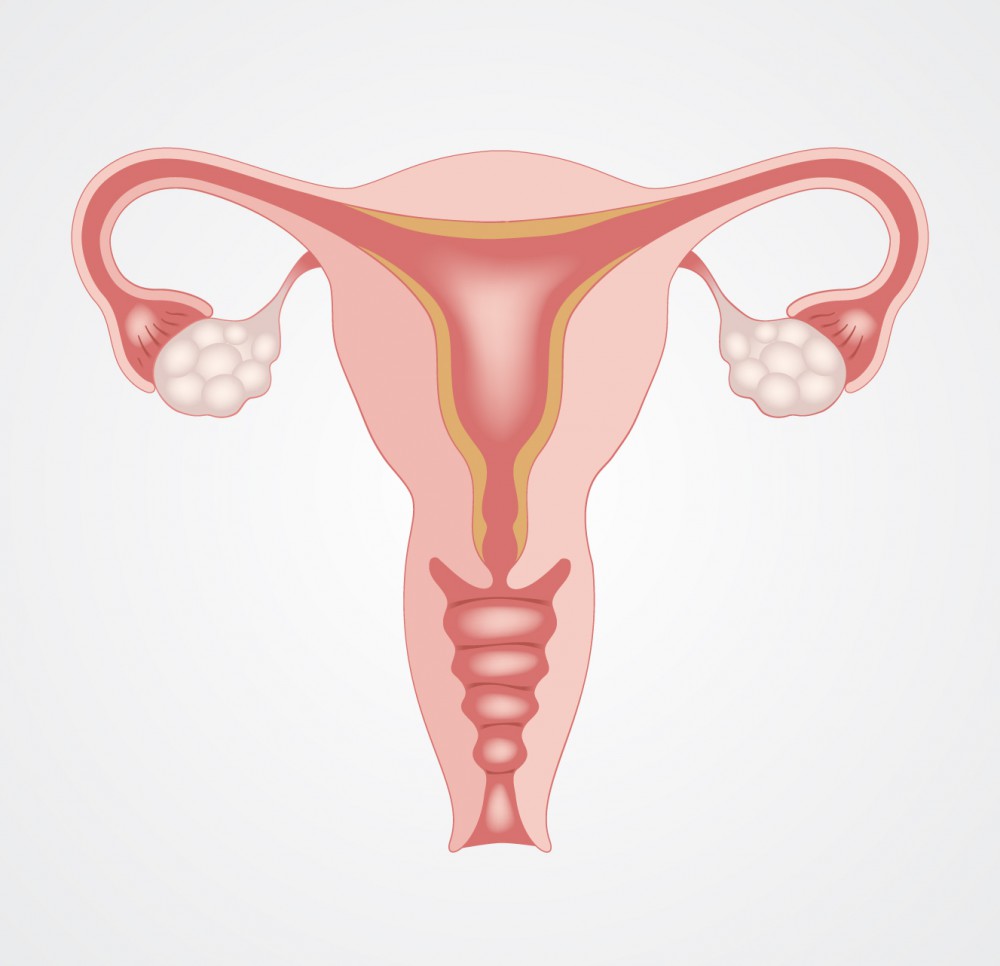 shutterstock_688854481