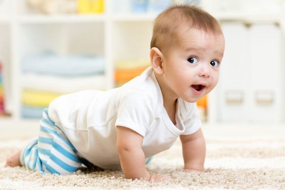 11d0f861c8a074370e8826c7b41502a6