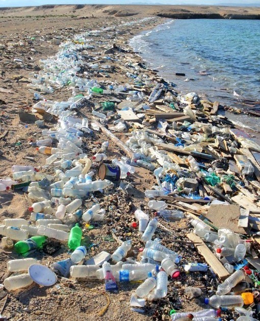 Screen Shot 2018-11-01 at 11.27.44 AM