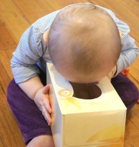 Screen Shot 2018-11-15 at 12.24.32 PM