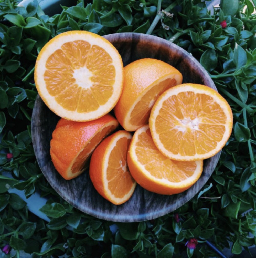 Screen Shot 2018-11-20 at 12.40.35 PM