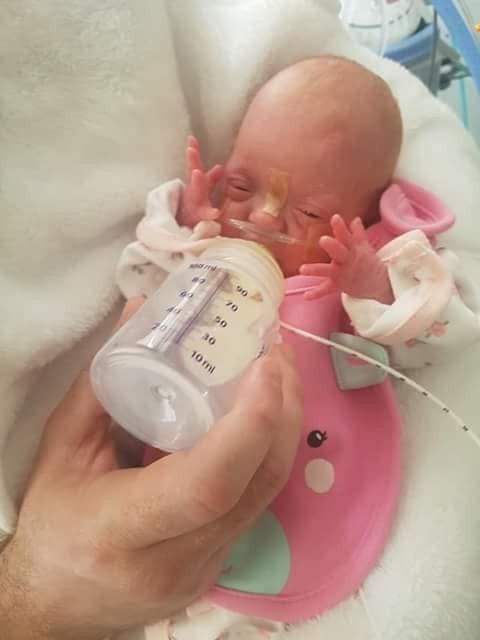 44898890_480137299142761_5889408037021548544_n 2