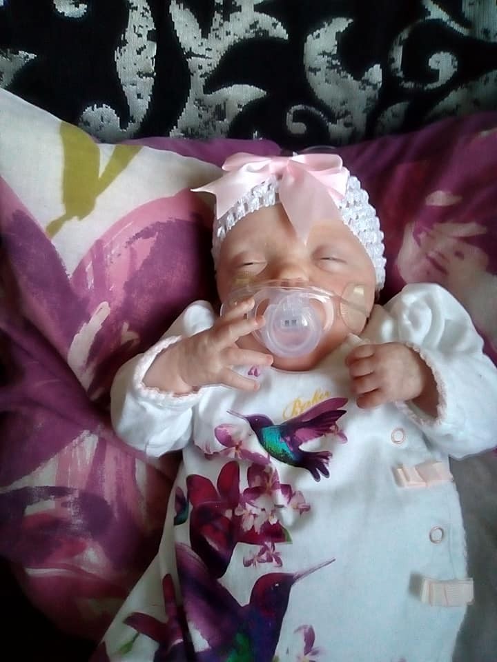 47247688_496705750819249_4757005777326047232_n